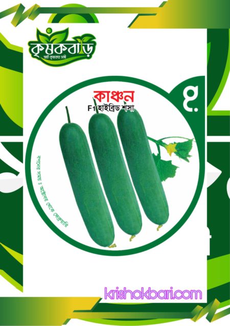 কাঞ্চন এফ-১ হাইব্রিড-শসা বীজ-10 gm