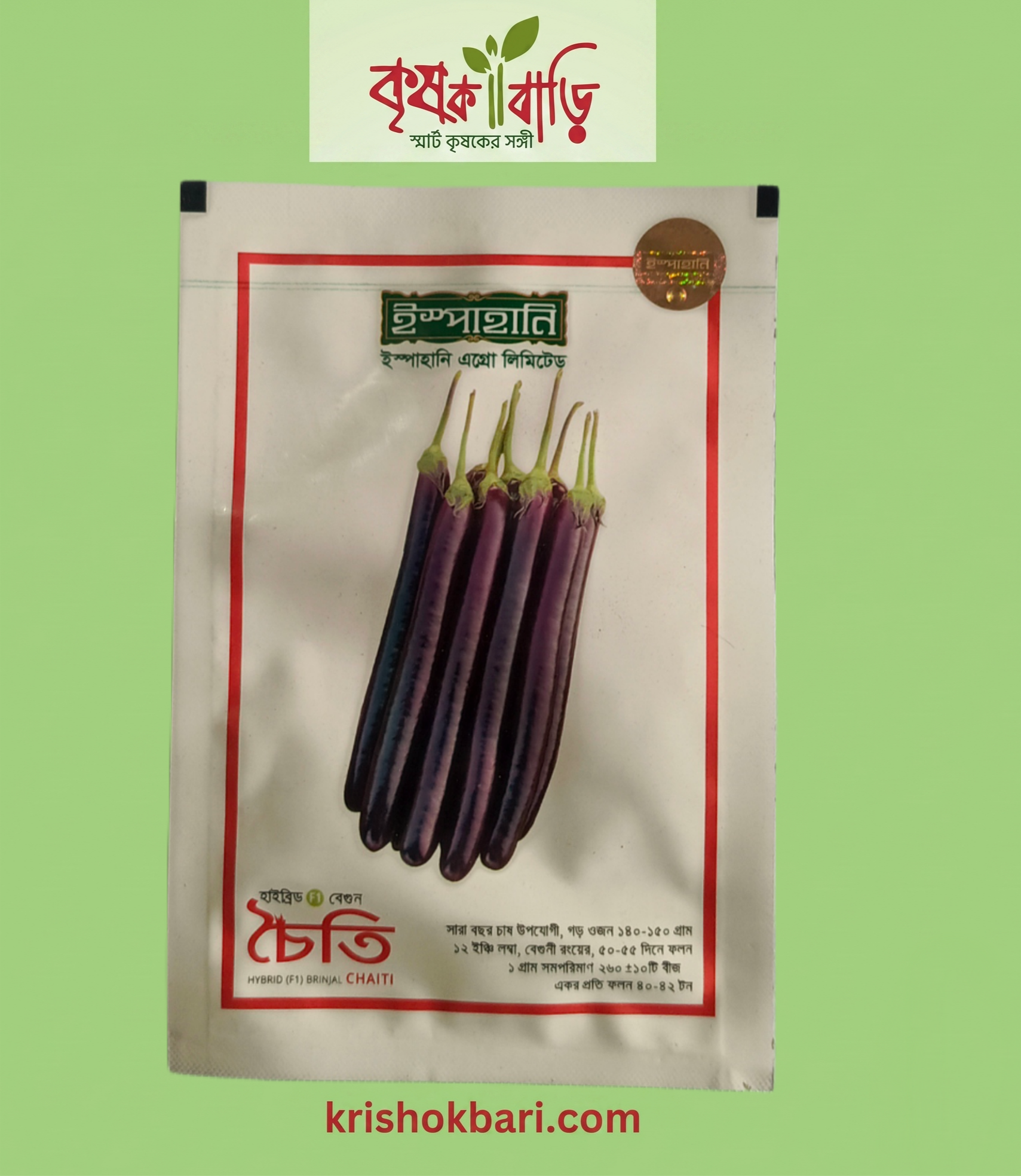 CHOITI-ISP f1-brinjal-চৈতি - Image 1